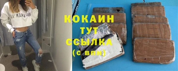 дживик Верхний Тагил