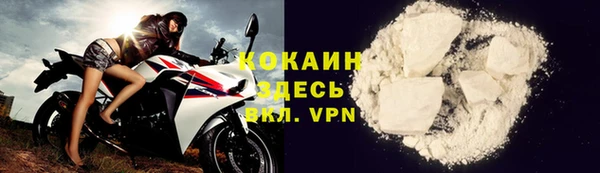 дживик Верхний Тагил