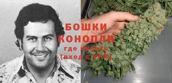 дживик Верхний Тагил