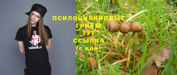 дживик Верхний Тагил