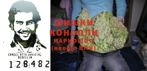 дживик Верхний Тагил