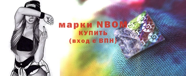 дживик Верхний Тагил