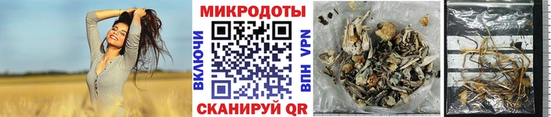 Купить закладки  Георгиевск  Галлюциногенные грибы Psilocybine cubensis 